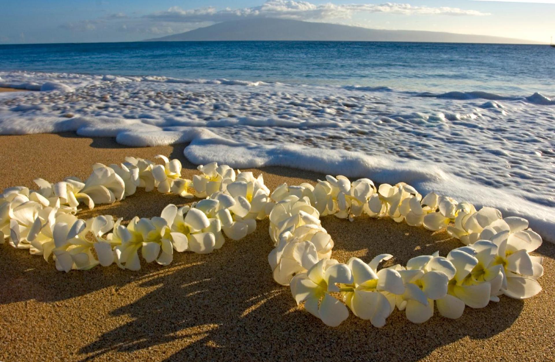 Newly Renovated ,1 Block To Waikiki Beach, Free Parking Apartamento Honolulu